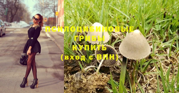 mdpv Магадан